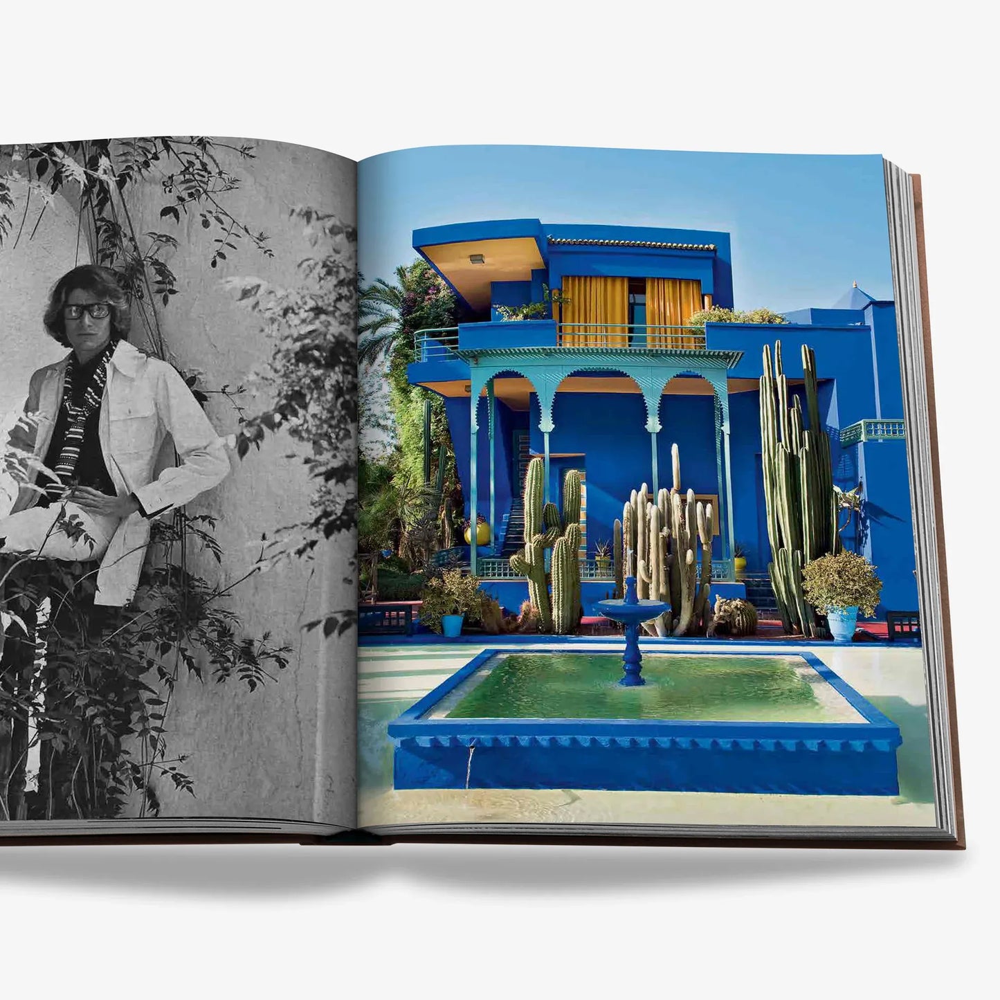 Détails d'une photographie représentant Yves Saint Laurent et le Jardin Majorelle dans le livre Assouline Marrakech Flair