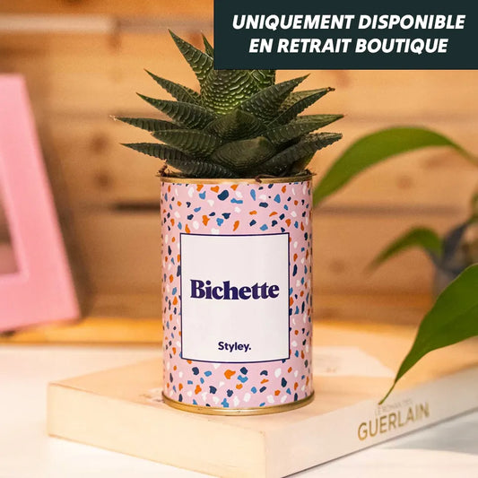 Plante grasse “Bichette” – Cadeau original à message – Kiplé Divonne
