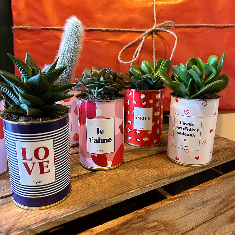 Plantes en pot avec des message de fête des mères 