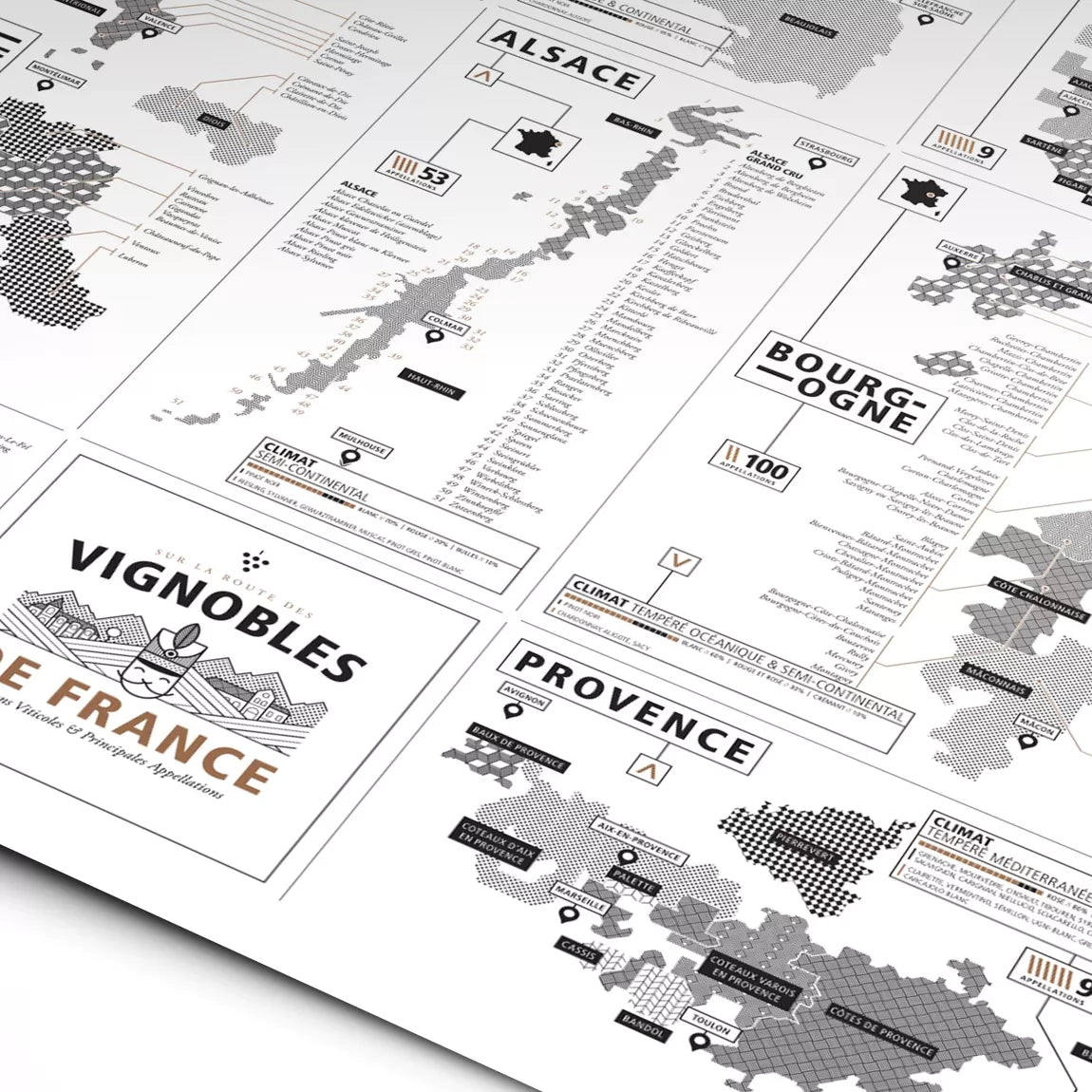 Vue en détail d'une infographie des vignobles de France