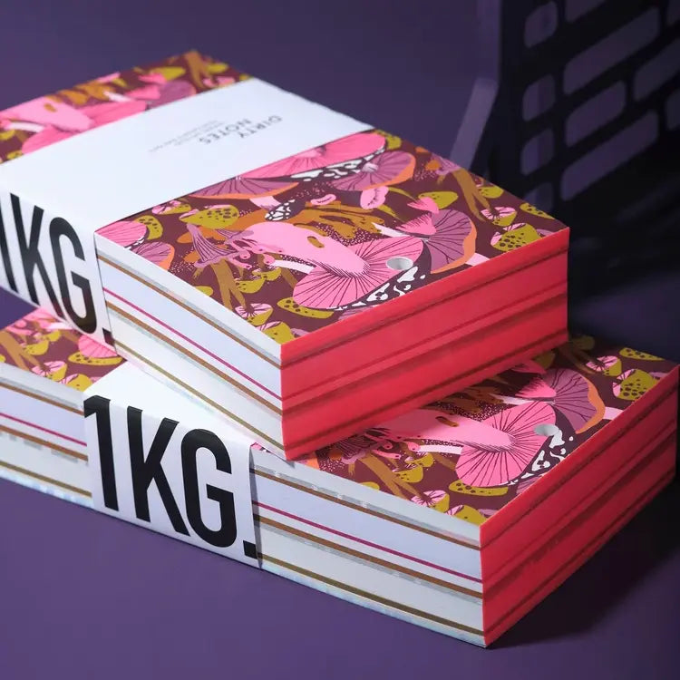 Blocs notes d'un kilo en papier réutilisé de la marque française Dirty Notes