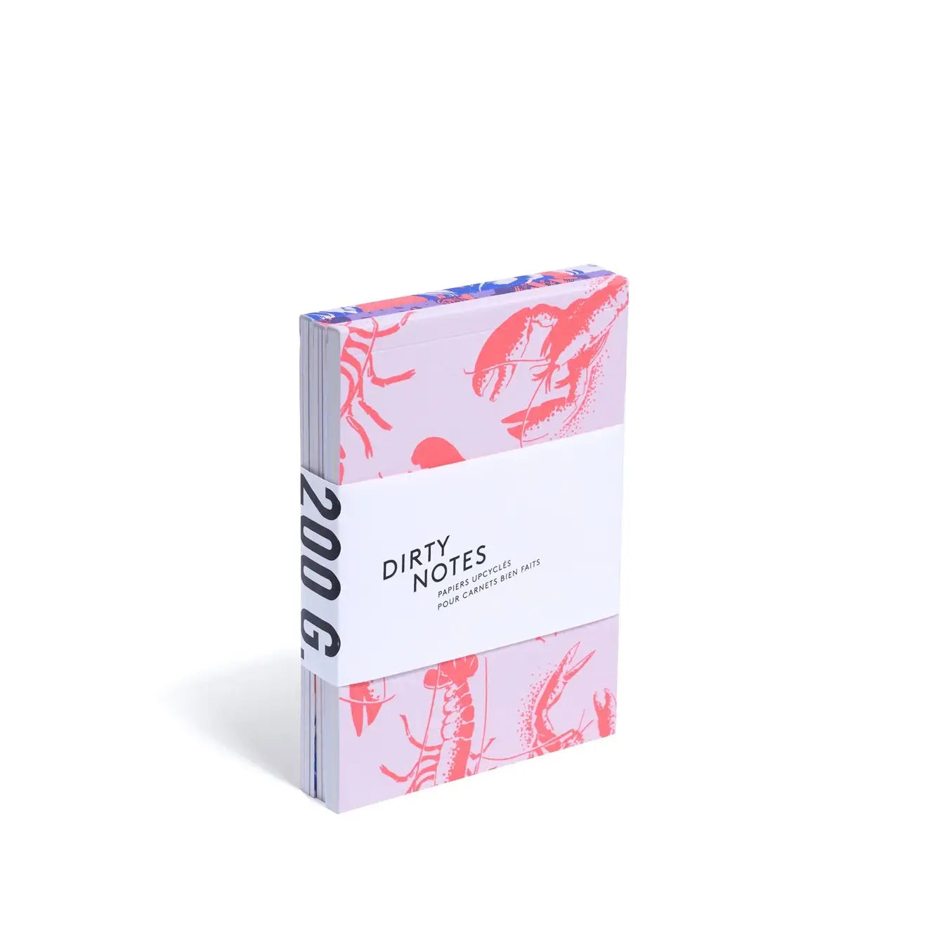 Pack de 3 mini carnets de notes de la marque de papeterie créative Dirty Notes 