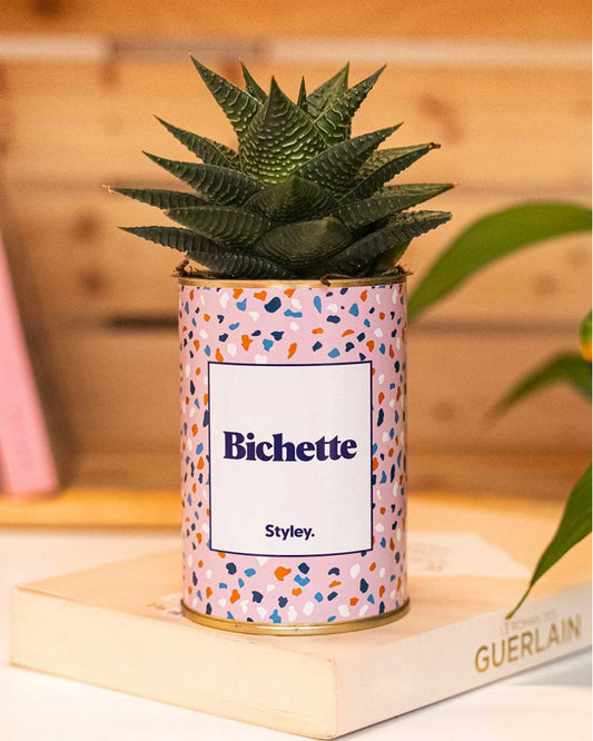 Plante grasse en pot motifs roses et bleus avec message original "Bichette" posé sur un livre